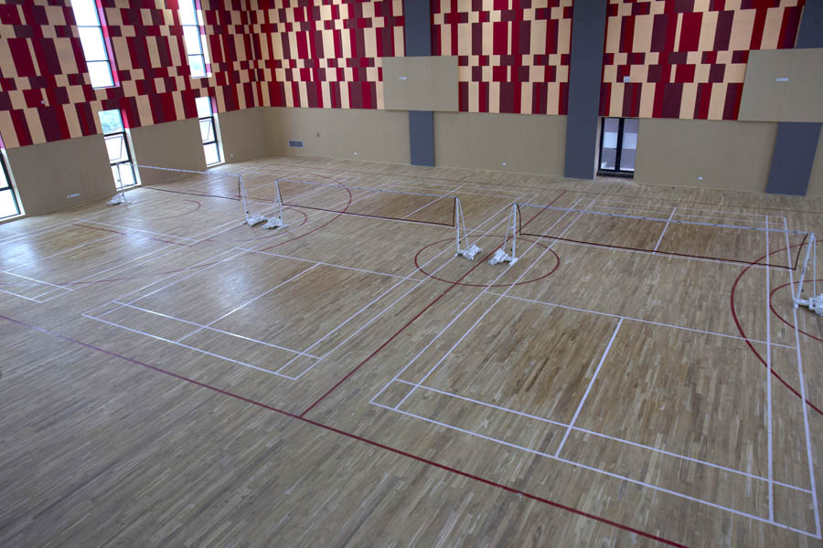 Michezo Sports Infra